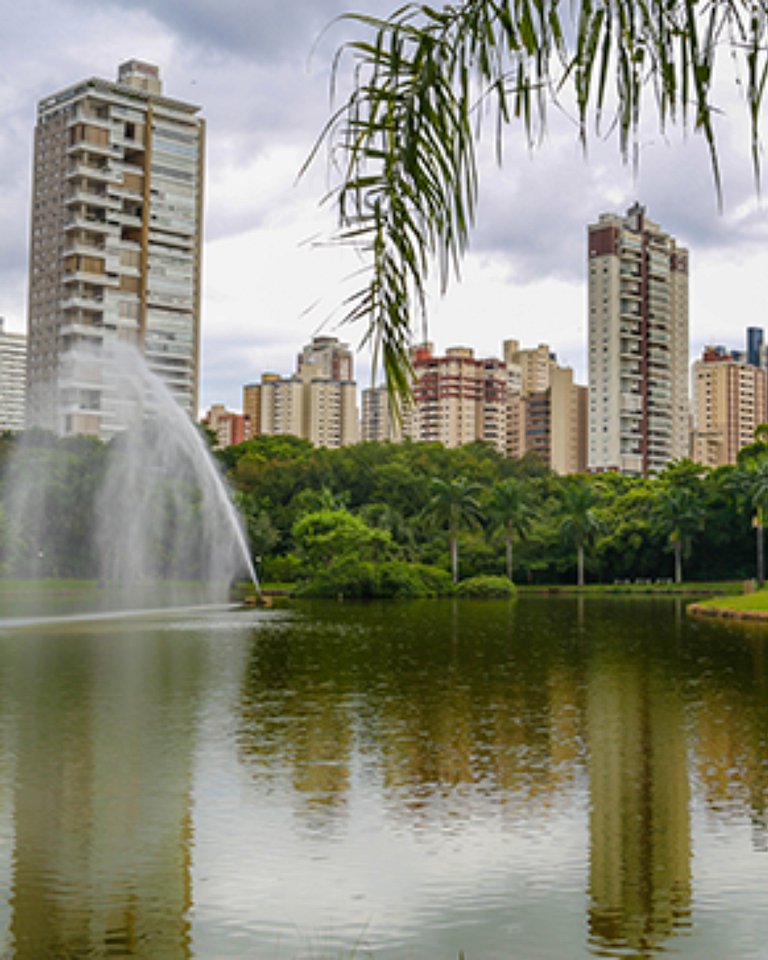 Apê de luxo com vista do Parque Vaca Brava - Gyro1801